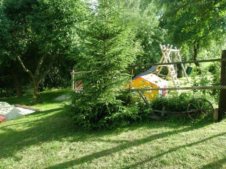 U Kohouta Appartement Podkost Buitenkant foto